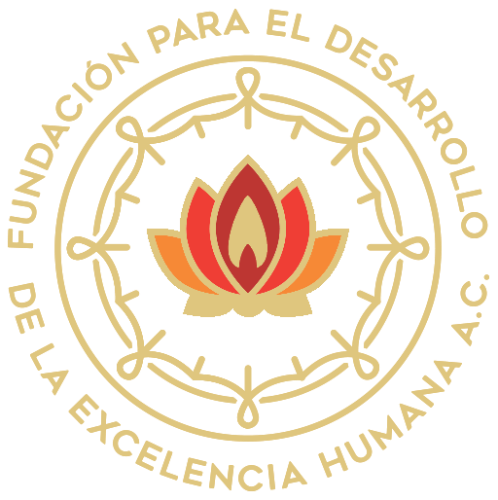 Imagen de FUNDACIÓN PARA EL DESARROLLO DE LA EXCELENCIA HUMANA